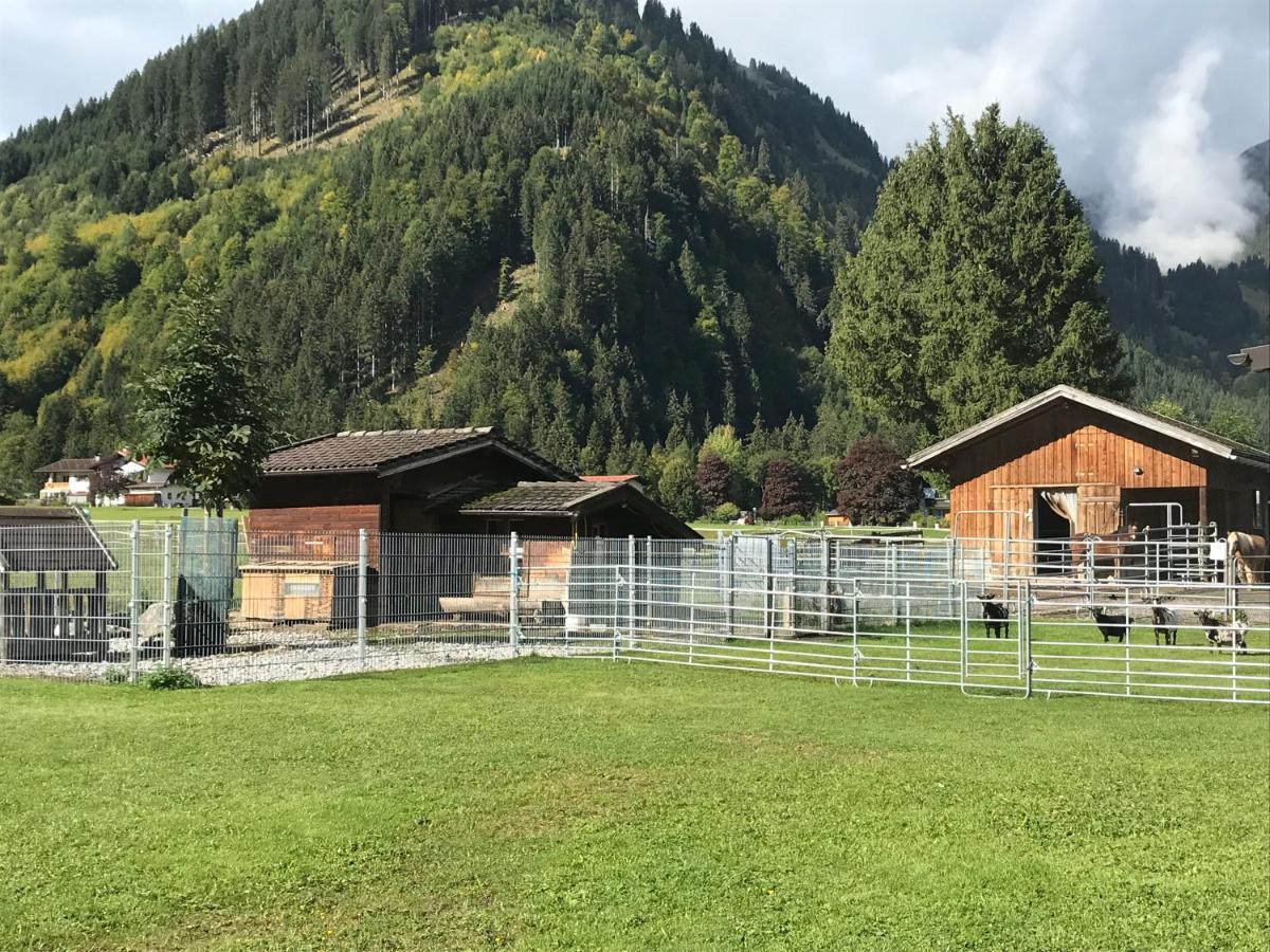 Апартаменти Pony-Ziegen-Hasen-Ranch Біхльбах Екстер'єр фото