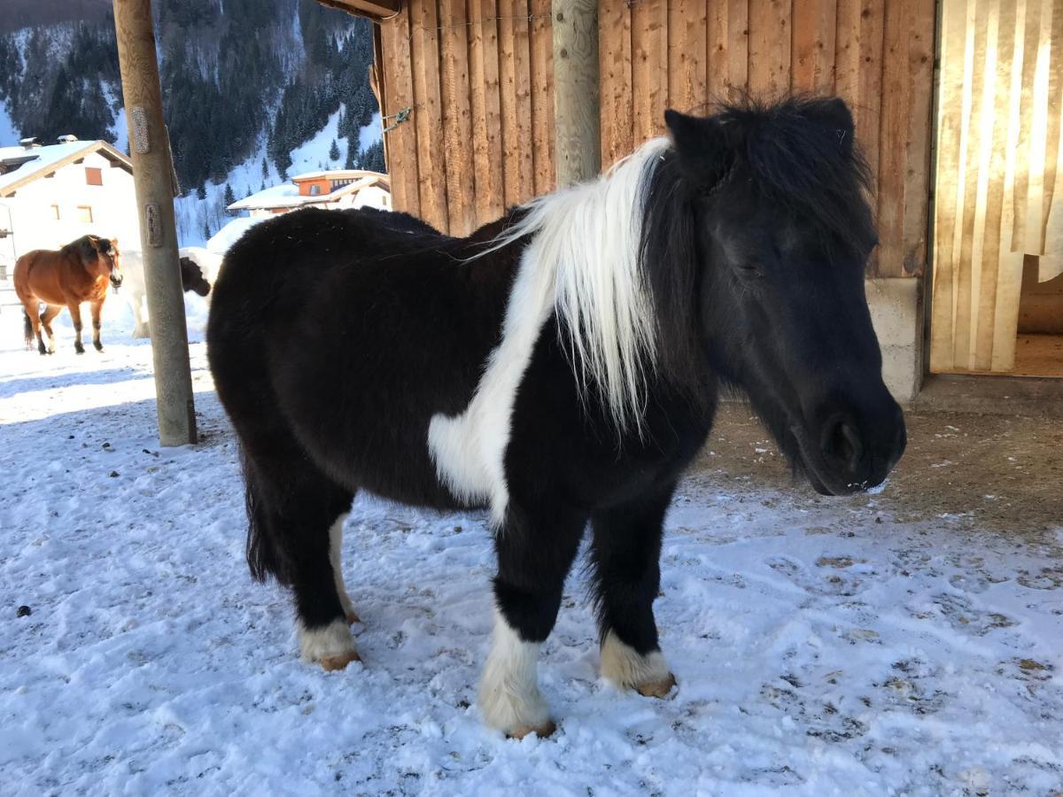 Апартаменти Pony-Ziegen-Hasen-Ranch Біхльбах Екстер'єр фото
