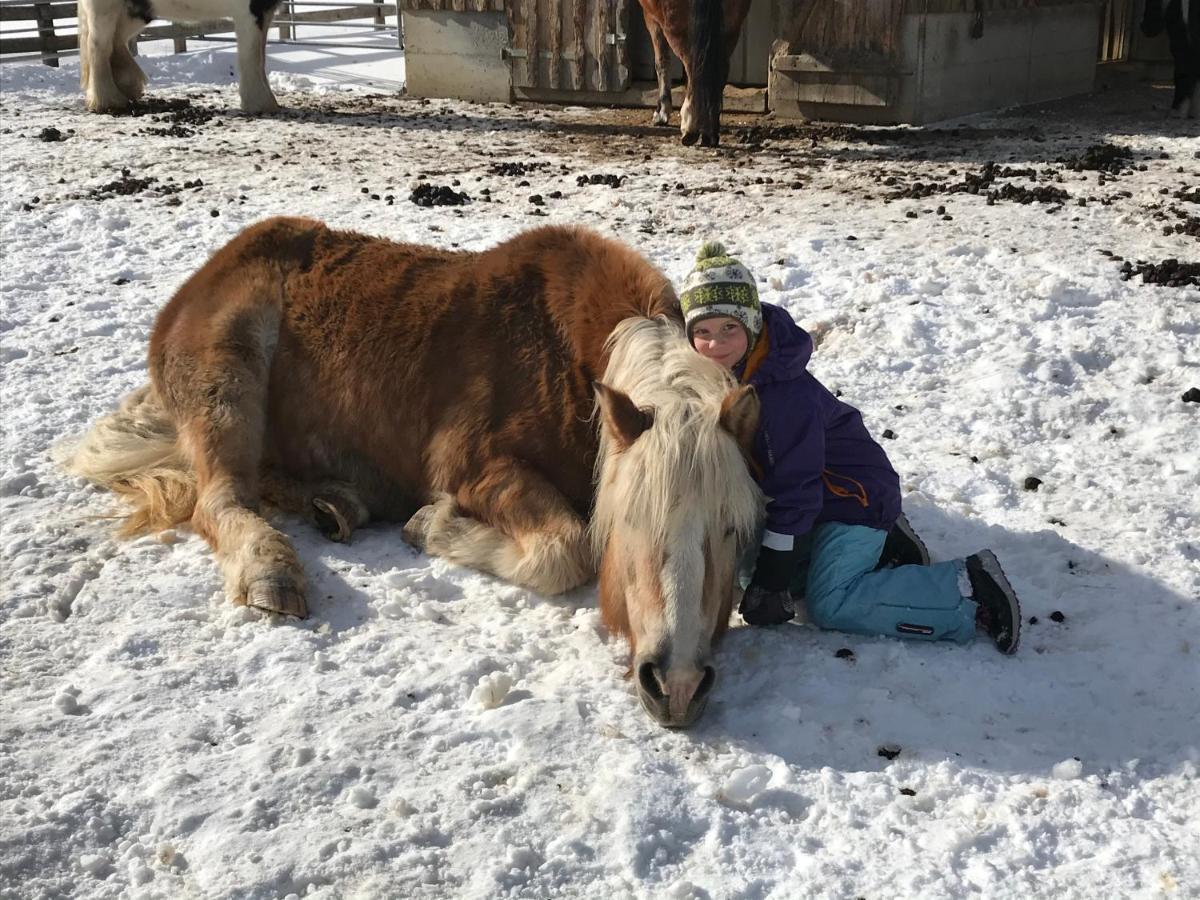 Апартаменти Pony-Ziegen-Hasen-Ranch Біхльбах Екстер'єр фото