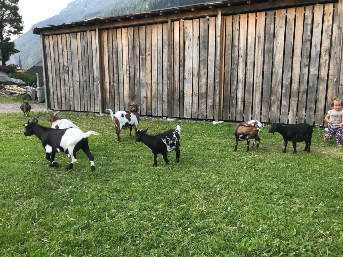 Апартаменти Pony-Ziegen-Hasen-Ranch Біхльбах Екстер'єр фото